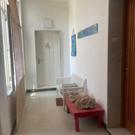 Casa Isabel 公寓 马扎拉德尔瓦洛